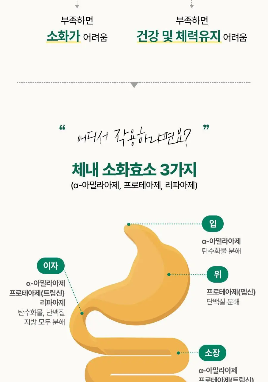 [서현 pick] 파인올로지 효소 14포 (2주분) 상세페이지 12